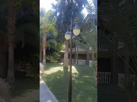 Видео: Sailor's Beach Club 2 часть