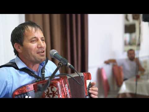 Видео: Красивая песня на баяне. Про бедняка и козу.