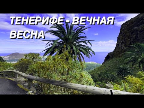 Видео: ТЕНЕРИФЕ- ОСТРОВ ВЕЧНОЙ ВЕСНЫ. ДЕРЕВНЯ МАСКА. ДЕНЬ ПЕРВЫЙ. часть 5