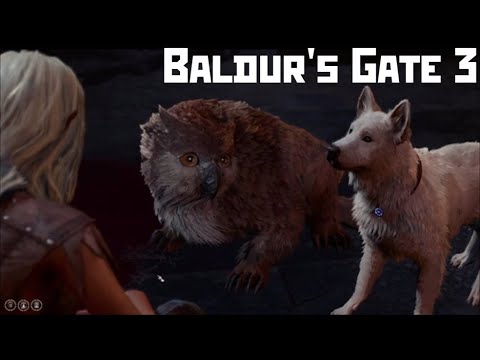 Видео: #38 Ночной кошмар - Baldur's Gate 3