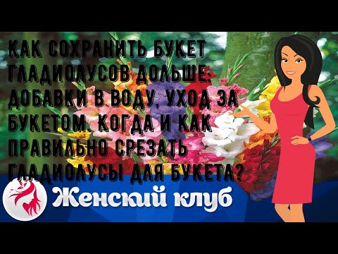 Видео: Как сохранить букет гладиолусов дольше: добавки в воду, уход за букетом. Когда и как правильно сре.