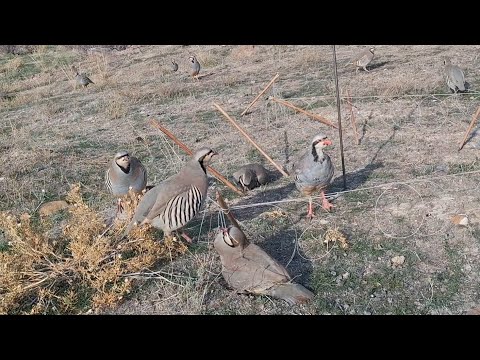 Видео: 25 октября 2025 г.