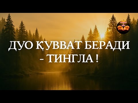 Видео: Ал-Бақара 255, 285–286🔑 Ҳимоя, умид ва тинчлик - Powerful Dua💫 (табиатда)🧝🏻‍♂️