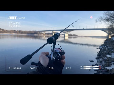 Видео: Favorite Black Swan Nano 652. Знакомство