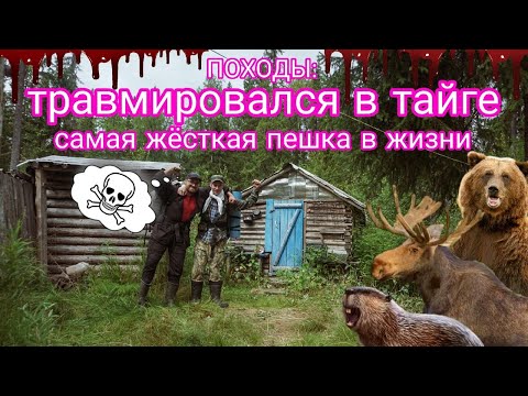Видео: ПОХОДЫ: получил травму ноги посреди похода. Самая жёсткая пешка в жизни по диким медвежьим угодьям