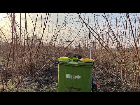 Видео: Краще пізно ніж ніколи‼️ Перша обробка малини Глен Емпл