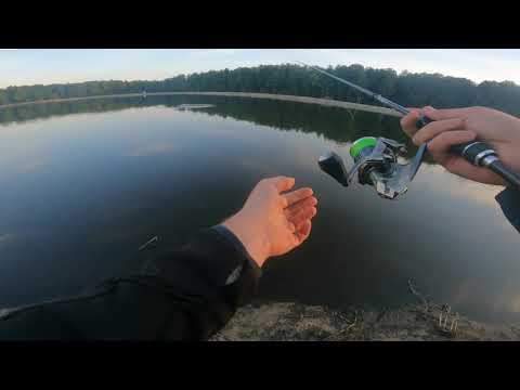 Видео: Світле ловля коропа,щуки та сома