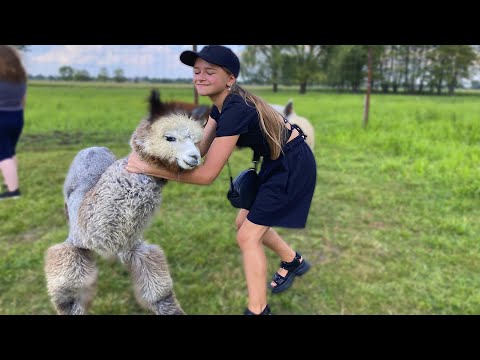 Видео: Влог Наш день Приколы с животными в Зоопарке