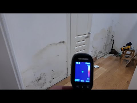 Видео: Почти новый дом покрылся плесенью - ищем причину