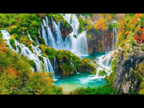 Видео: Музыкальная терапия 🌿Успокаивает нервную систему и освежает душу, расслабляя