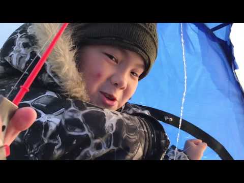 Видео: Рыбалка, Казахстан, р.Ишим, 14 марта 2020г., окунь на мормышку.