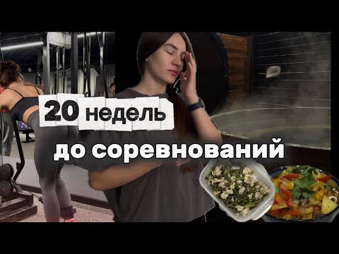 Видео: КОРСЕТ ДЛЯ ТАЛИИ? | УЖИНАЮ ШАУРМОЙ | ЧТО ДЕЛАТЬ, если ВЕС СТОИТ НА МЕСТЕ