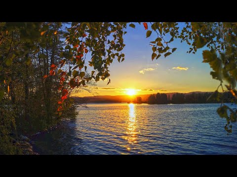 Видео: Отдых дикарями на озере Сунгуль