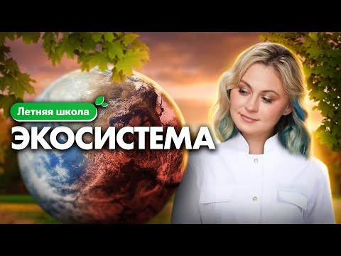 Видео: Подробный разбор темы "ЭКОСИСТЕМА" для ЕГЭ по биологии | Летняя школа 100Б | Ксения Напольская