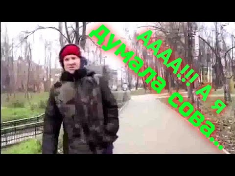 Видео: Подборка эпичных фраз 2