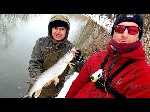 Видео: КОРМИМ ГОЛОДНЫХ ЩУК СИЛИКОНОМ!!! РЫБАЛКА НА СПИННИНГ В ЗАСНЕЖЕННОЙ РЕЧКЕ... МАРТ 2025