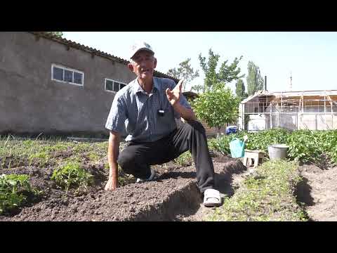 Видео: Cабизди эгүү жолдору | Биз күткөн Өмүрзак агайдан мыкты кеңештер.