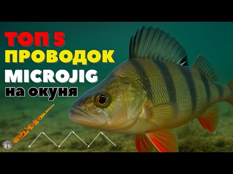 Видео: ТОП-5 ПРОВОДОК НА МИКРОДЖИГ, КАК ЛОВИТЬ НА MICROJIG | ОТ ЧЕМПИОНОВ МИРА