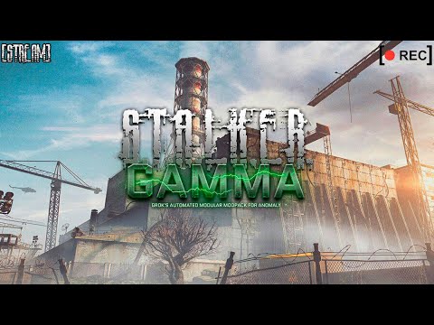 Видео: S.T.A.L.K.E.R Anomaly G.A.M.M.A Интерактив [Stream] 🎥