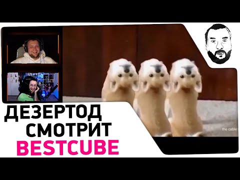 Видео: Дезертод смотрит ПРИКОЛЫ - BestCUBE😆