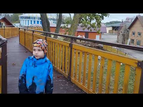 Видео: зоопарк Минск