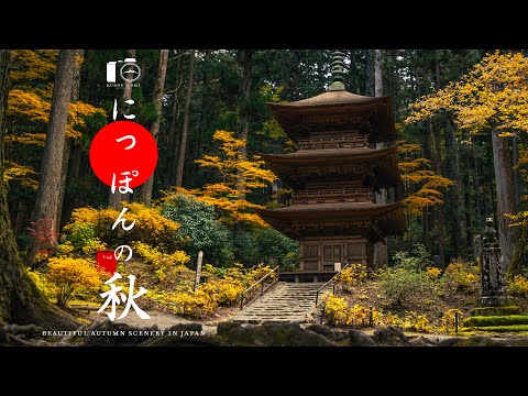 Видео: 【Компиляция】 Красивые осенние пейзажи Японии｜4K SDR