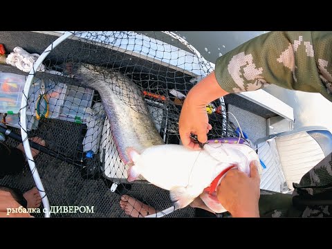 Видео: Харабалык - июньский выезд 2021, рыбалка на Ахтубе в мошку, б/о ЛЕВАДА, Харабали .