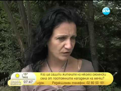 Видео: Мечки тормозят хората в Родопите