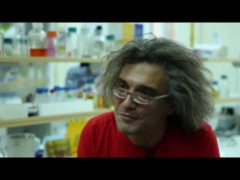 Видео: ScienceHub #03: Синтетическая микробиология