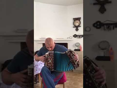 Видео: А я милого узнаю по походке...( гармонь)