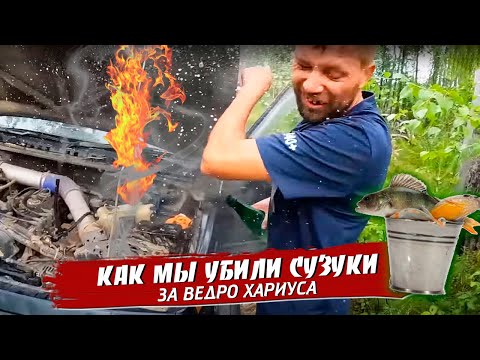 Видео: Как мы убили Сузуки за ведро хариуса
