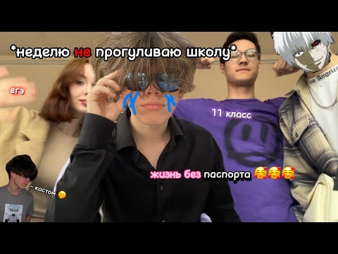 Видео: не прогуливаю школу на протяжении недели (нет)