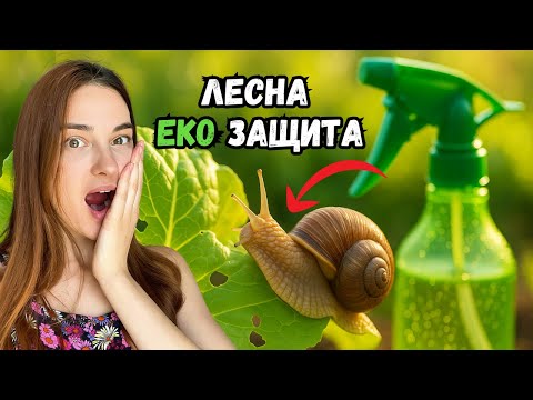 Видео: Край на вредителите! 5 ЕКО метода, за да спасите градината си БЕЗ химия!
