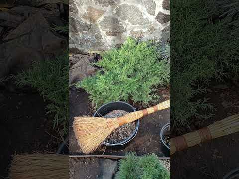 Видео: НЕ РОБІТЬ ТАКИХ ПОМИЛОК ???