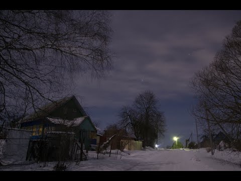 Видео: Часть 2. Небольшая прогулка по лесу.