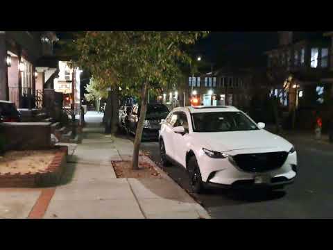 Видео: С какой попытки я выиграл в Лотерее Green Card. О шансах на победу. Коты в видео наличествуют