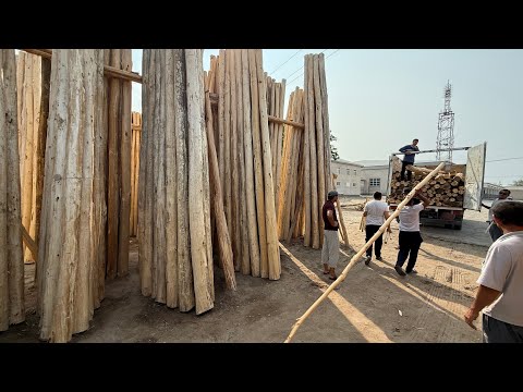Видео: 7 июня 2025 г. ТУРТКУЛЬ ТЕРАК БОЗОР НАРХЛАРИ