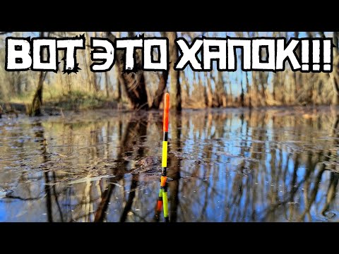 Видео: НАПОРОЛСЯ НА ВЕСЕННИЙ ЖОР! Вот это БАТОНЫ на поплавок! Рыбалка 2025