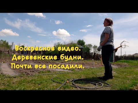 Видео: Снято в воскресенье. Огородные дела.