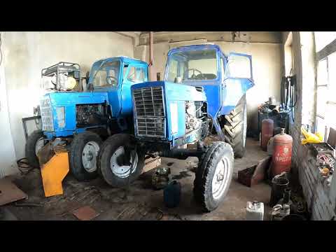 Видео: Эдильбаевская порада овец .