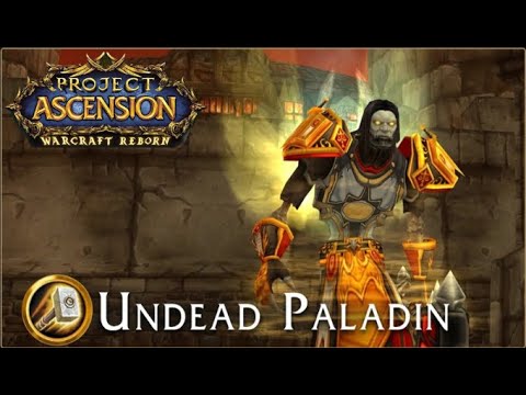 Видео: [RU/ENG] ПротПал Bronzebeard Ascension. Day 6 #worldofwarcraft #ascensionwow #bronzebeard