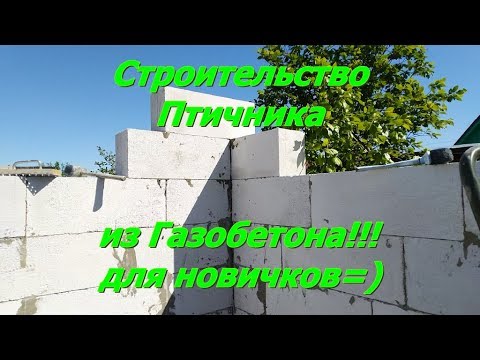 Видео: Птичник из газобетона.Технология строительства.