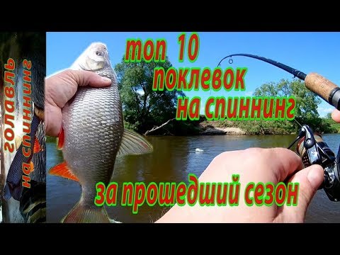Видео: Топ 8 лучших воблеров на голавля прошлого сезона. Рыбалка на спиннинг.