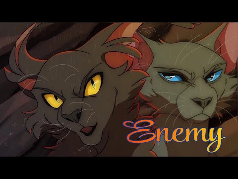 Видео: ЗАКАЗ Коты Воители Ветерок и Грач: Enemy [Imagine Dragons]