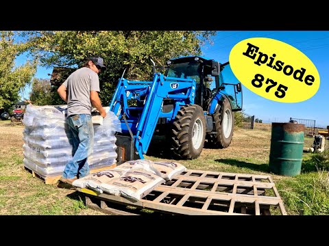 Видео: Новый способ подачи соли и минералов коровам