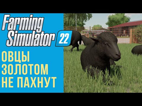 Видео: 🐑 Всё об овцах в Farming Simulator 22