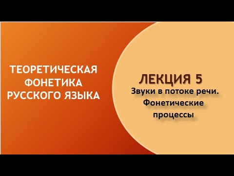 Видео: Звуки в потоке речи  Фонетические процессы