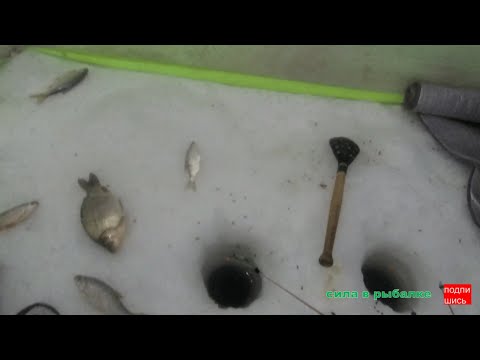 Видео: ПЕРВАЯ РЫБАЛКА 2024 !!! Ловим рыбу в минус 30.