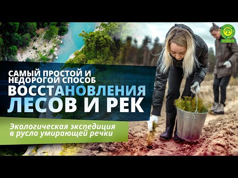 Видео: ВОССТАНОВЛЕНИЕ ЛЕСОВ И РЕК - самый простой и недорогой способ | Вестник РП