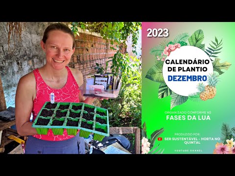 Видео: Что посадить в ДЕКАБРЕ 2023 ГОДА? 📅 Календарь посадок 🌱 Сад на заднем дворе 💚